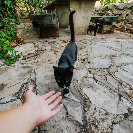 Country House Rusula Vrsine Ngoại thất bức ảnh