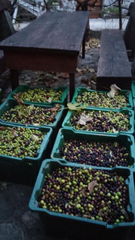 Country House Rusula Vrsine Ngoại thất bức ảnh
