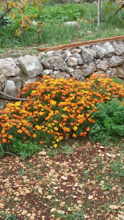 Country House Rusula Vrsine Ngoại thất bức ảnh