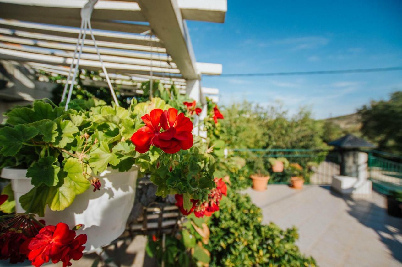 Country House Rusula Vrsine Ngoại thất bức ảnh